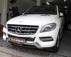 Mercedes-Benz ML Class 250 CDi 2014 - Cần bán lại xe Mercedes 250 CDi sản xuất năm 2014, màu trắng, xe nhập giá 2 tỷ tại Tp.HCM