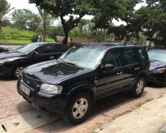 Ford Escape XLT  2004 - Bán xe Ford Escape XLT đời 2004, màu đen   giá 195 triệu tại Hà Nội