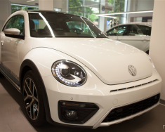 Volkswagen New Beetle Dune 2018 - Bán xe Volkswagen New Beetle Dune đời 2018, màu trắng, nhập khẩu giá 1 tỷ 469 tr tại Tp.HCM