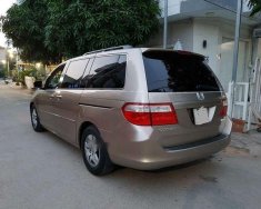 Honda Odyssey    2006 - Bán Honda Odyssey đời 2006, màu nâu, nhập khẩu, giá 610tr giá 610 triệu tại Tp.HCM