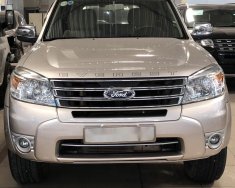 Ford Everest MT 2012 - Cần bán xe Ford Everest năm sản xuất 2012, màu vàng cát giá 598 triệu tại Tp.HCM