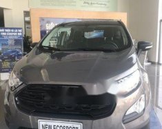 Ford EcoSport   Ambiente 2018 - Bán ô tô Ford EcoSport Ambiente sản xuất 2018, màu xám giá 510 triệu tại Hậu Giang