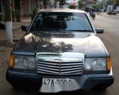 Mercedes-Benz E class 1989 - Bán xe Mercedes 1989, màu đen, nhập khẩu nguyên chiếc chính chủ, giá tốt giá 75 triệu tại Đắk Lắk