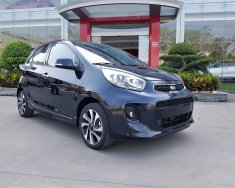 Kia Morning S-AT 2018 - Bán xe Morning 1.25S AT màu xanh, số tự động 2018, đủ các phiên bản, màu sắc- LH: 01695.383.514 giá 390 triệu tại Tp.HCM