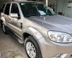 Ford Escape XLS 2013 - Bán xe Ford Escape XLS năm sản xuất 2013, màu bạc   giá 510 triệu tại Tp.HCM