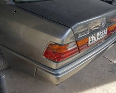 Mercedes-Benz E class 1989 - Cần bán xe Mercedes đời 1989, màu bạc, xe nhập, 48tr giá 48 triệu tại Tp.HCM