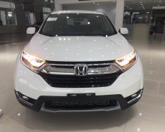 Honda CR V  L  2018 - Bán ô tô Honda CR V L đời 2018, màu trắng, nhập khẩu nguyên chiếc giá 1 tỷ 73 tr tại Thái Bình