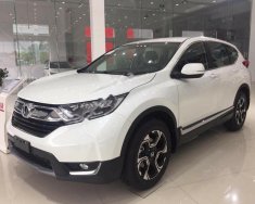 Honda CR V 1.5 G 2018 - Bán Honda CR V 1.5 G năm sản xuất 2018, nhập khẩu giá 1 tỷ 3 tr tại Gia Lai