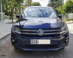 Volkswagen Tiguan 2013 - Bán ô tô Volkswagen Tiguan đời 2013, giá tốt giá 905 triệu tại Tp.HCM