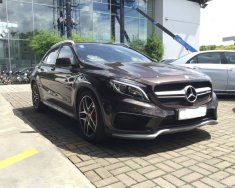 Mercedes-Benz GL Cũ Mercedes-Benz A 45 AMG 2015 - Xe Cũ Mercedes-Benz GLA 45 AMG 2015 giá 1 tỷ 630 tr tại