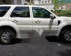 Ford Escape  XLS 2011 - Bán xe Ford Escape XLS đời 2011, màu trắng giá rẻ giá 450 triệu tại Tp.HCM