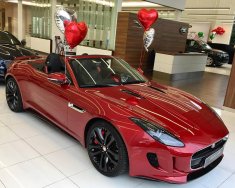 Jaguar F Type 2017 - Bán Jaguar F-Type - Mẫu Convertible đầy tinh tế từ Anh Quốc giá 6 tỷ 699 tr tại Đà Nẵng