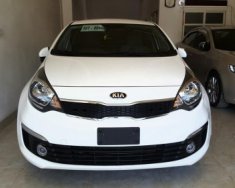 Kia Rio  1.4 AT  2017 - Cần bán Kia Rio 1.4 AT sản xuất năm 2017, màu trắng, giá chỉ 515 triệu giá 515 triệu tại Ninh Bình