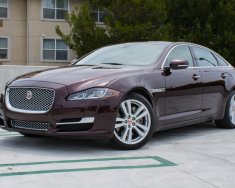 Jaguar XJL 2017 - Bán Jaguar XJL Portfolio màu đen, trắng, đỏ xe giao ngay giảm giá tốt nhất Jaguar Việt Nam giá 6 tỷ 666 tr tại Tp.HCM