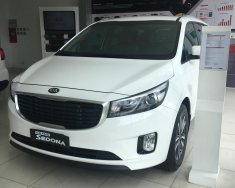 Kia Sedona DATH 2018 - Bán xe Kia Sedona DATH 2018 full options, nhiều màu lựa chọn, giá chỉ 1 tỷ 179 triệu giá 1 tỷ 179 tr tại Bến Tre