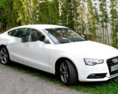 Audi A5 2013 - Bán Audi A5 sản xuất 2013, màu trắng giá 1 tỷ 250 tr tại BR-Vũng Tàu