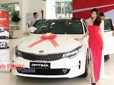 Kia Optima 2.0 2017 - Bán Kia Optima 2.0 đời 2017, màu trắng giá 879 triệu tại Bắc Ninh