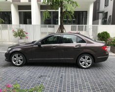 Mercedes-Benz C class 250 2014 - Bán ô tô Mercedes 250 đời 2015, màu nâu số tự động giá 950 triệu tại Hà Nội