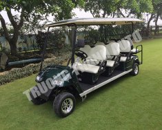 Hãng khác Xe du lịch 2017 - Bán xe điện sân Golf 8 chỗ mới 100% giá 195 triệu tại Hà Nội