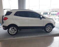 Ford EcoSport 2018 - Cần bán lại xe Ford EcoSport 2018, màu trắng  giá 593 triệu tại Sóc Trăng