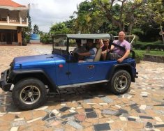 Jeep Wrangler   1980 - Cần bán lại xe Jeep Wrangler đời 1980, màu xanh lam giá cạnh tranh giá 150 triệu tại Bình Thuận  