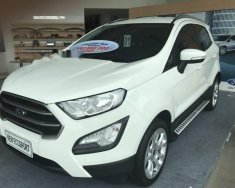 Ford EcoSport   1.5  2018 - Bán xe Ford EcoSport 1.5 sản xuất năm 2018, màu trắng, giá 593tr giá 593 triệu tại Kiên Giang