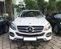 Mercedes-Benz GL Cũ Mercedes-Benz E 400 4Matic SUV Chỉ 600 Triệu Là Nhận 2018 - Xe Cũ Mercedes-Benz GLE 400 4Matic SUV Chỉ 600 Triệu Là Nhận Xe 2018 giá 3 tỷ 550 tr tại