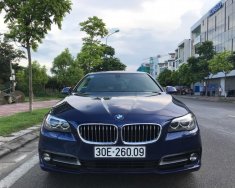 BMW 1 Cũ  5 520i 206 2016 - Xe Cũ BMW 5 520i 2016 giá 1 tỷ 680 tr tại