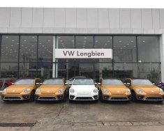 Volkswagen New Beetle 2018 - Cần bán xe Volkswagen New Beetle năm 2018, màu cam, nhập khẩu nguyên chiếc giá 1 tỷ 469 tr tại Hà Nội
