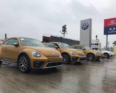 Volkswagen New Beetle 2017 - Bán Volkswagen New Beetle đời 2018, nhập khẩu giá 1 tỷ 469 tr tại Hà Nội