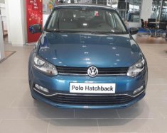 Volkswagen Polo 2015 - Bán Volkswagen Polo 2016, màu xanh, nhập khẩu nguyên chiếc giá 560 triệu tại Hà Tĩnh