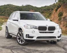 BMW X5   2018 - Bán BMW X5 đời 2018, màu trắng, xe nhập giá 3 tỷ 599 tr tại Tp.HCM