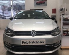 Volkswagen Polo 2015 - Bán Volkswagen Polo đời 2016, màu bạc, nhập khẩu giá cạnh tranh giá 560 triệu tại Thái Bình
