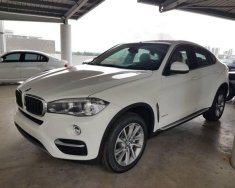 BMW X6   2018 - Bán xe BMW X6 năm 2018, màu trắng, nhập khẩu giá 3 tỷ 249 tr tại Tp.HCM