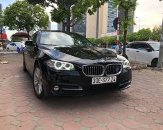 BMW 1 Cũ  5 520i 206 2016 - Xe Cũ BMW 5 520i 2016 giá 1 tỷ 666 tr tại