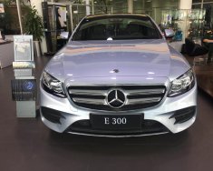 Mercedes-Benz C Mới Meredes-Benz E 300 2018 - Xe Mới Mercedes-Benz E 300 2018 giá 2 tỷ 769 tr tại