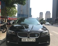 BMW 1 Cũ  5 520i 206 2016 - Xe Cũ BMW 5 520i 2016 giá 1 tỷ 656 tr tại