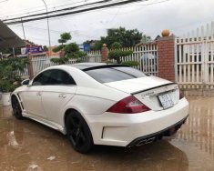 Mercedes-Benz CLS class CLS350 2004 - Bán xe Mercedes CLS350 đời 2004, màu trắng, giá 560tr giá 560 triệu tại Đồng Nai