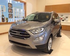 Ford EcoSport 1.5 titanium 2018 - Tặng phụ kiện giảm tiền mặt khi mua Ford Ecosport 1.5l Titanium, màu xám 2018 tại An Đô Ford, lh 0974286009 giá 610 triệu tại Tuyên Quang