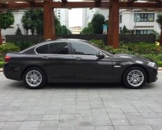 BMW 5 Series  520i 2015 - Bán xe BMW 5 Series 520i sản xuất năm 2015, màu đen  giá 1 tỷ 600 tr tại Bắc Ninh