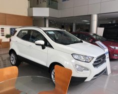 Ford EcoSport 1.0L AT Titanium 2018 - Bán Ford Ecosport Titanium tại Hải Dương giao ngay, đủ màu, giảm cực mạnh, hỗ trợ 80%, 8 năm - LH: 0942552831 giá 69 triệu tại Lai Châu