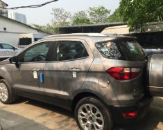 Ford EcoSport Titanium 2018 - Bán Ecosport 2018 Titanium, màu xám ghi, hỗ trợ trả góp tại Cao Bằng LH: 0941921742 giá 605 triệu tại Cao Bằng
