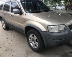 Ford Escape XLT 2003 - Bán em Ford Escape XLT 2003 màu vàng cát giá 185 triệu tại Tp.HCM