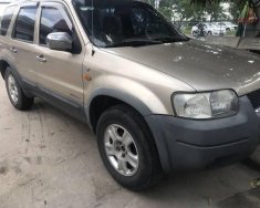 Ford Escape XLT 2003 - Bán ô tô Ford Escape XLT năm sản xuất 2003, màu vàng cát giá 185 triệu tại Tp.HCM