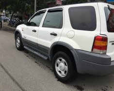 Ford Escape XLT 2002 - Bán Ford Escape XLT 2002, màu trắng, giá 155tr giá 155 triệu tại Tp.HCM