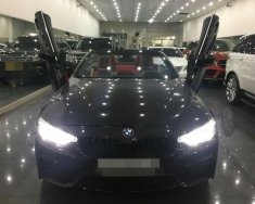 BMW 4 Series 2016 - Bán xe BMW 4 Series đăng ký lần đầu 2016, màu đen nhập khẩu nguyên chiếc giá 2 tỷ 180 tr tại Tp.HCM