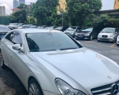 Mercedes-Benz CLS class CLS 350 2008 - Bán lại xe Mercedes-Benz CLS 350, mới 7 vạn km giá 780 triệu tại Hà Nội