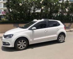 Volkswagen Polo   2017 - Cần bán Volkswagen Polo 2017, nữ chạy, tình trạng 95% giá 550 triệu tại Tiền Giang