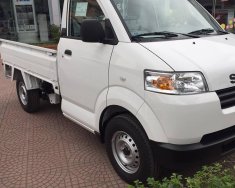 Suzuki Carry 2018 - Bán Suzuki Carry đời 2018, màu trắng, nhập khẩu, 312 triệu giá 312 triệu tại Hải Phòng