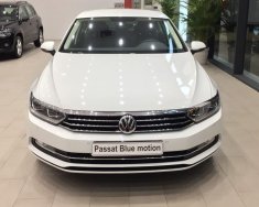 Volkswagen Passat 2017 - Bán Volkswagen Passat Bluemotion sản xuất 2017, màu trắng, nhập khẩu, giảm giá khủng những ngày cuối tháng giá 1 tỷ 450 tr tại Đà Nẵng